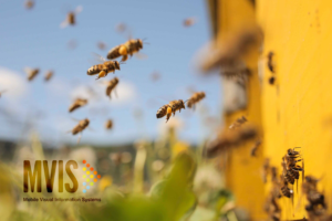 Sustainability isn’t all about production and distribution